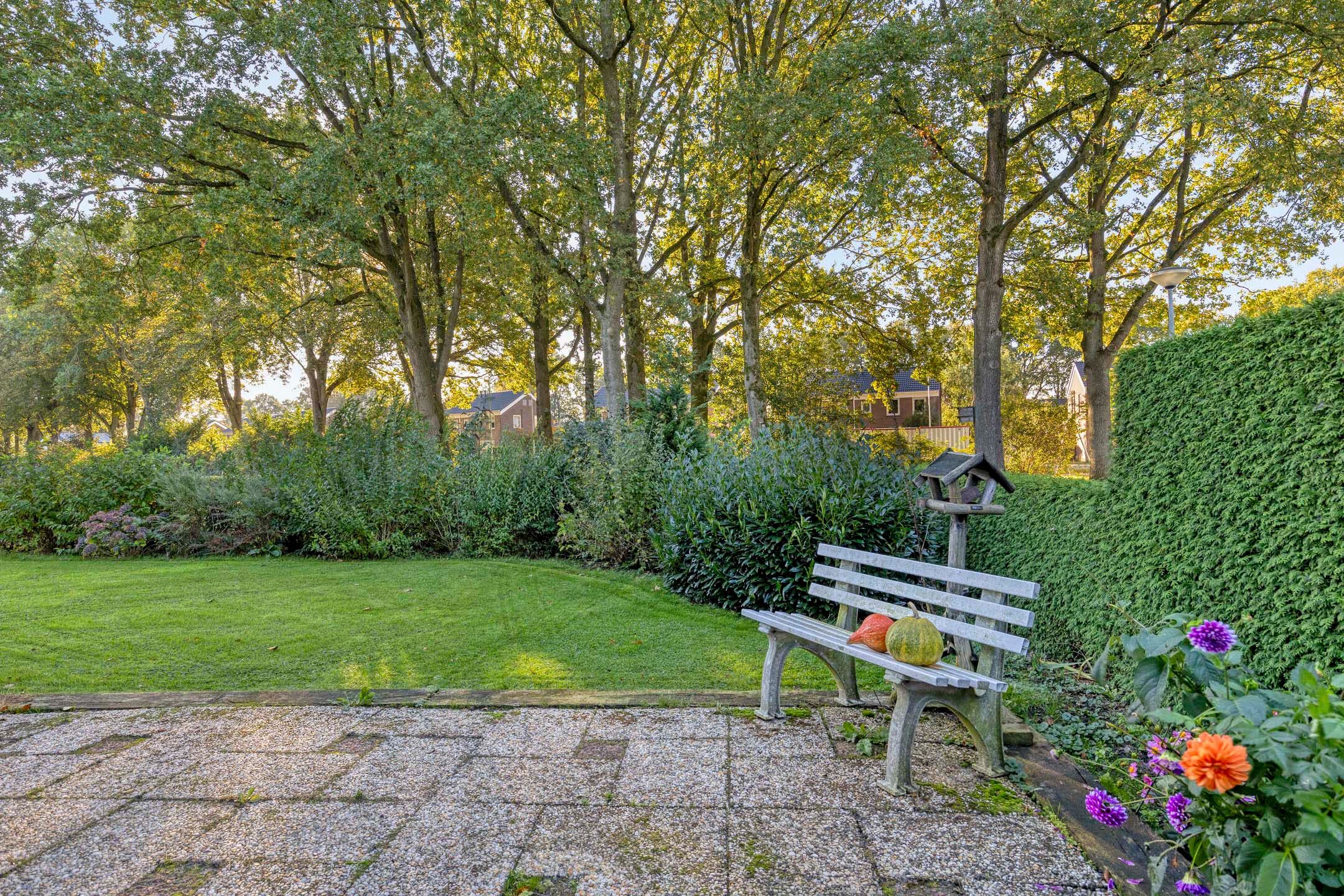 Photo 3 of Hovenplantsoen 1