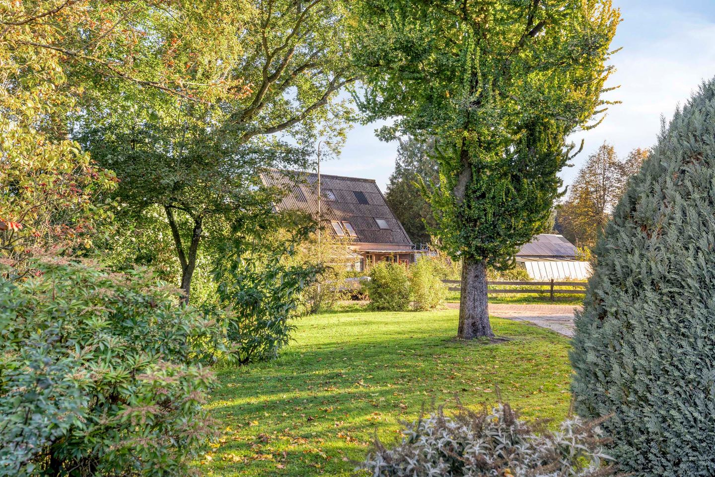 Photo 29 of Hovenplantsoen 1