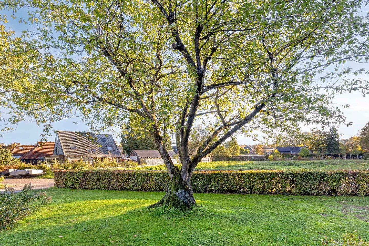 Photo 34 of Hovenplantsoen 1