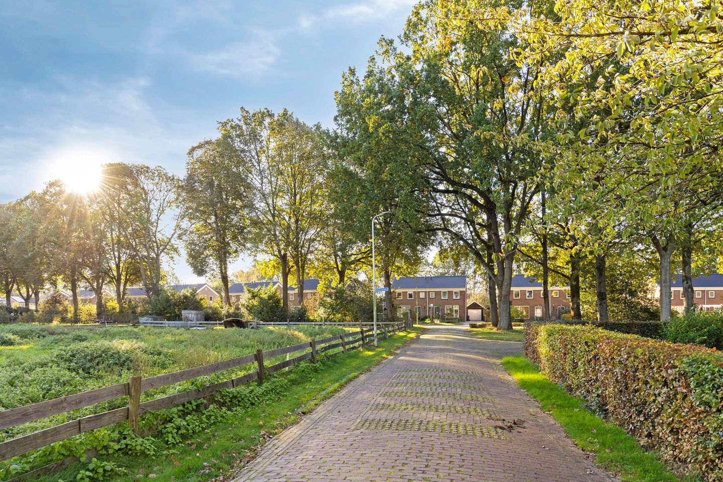 Photo 35 of Hovenplantsoen 1