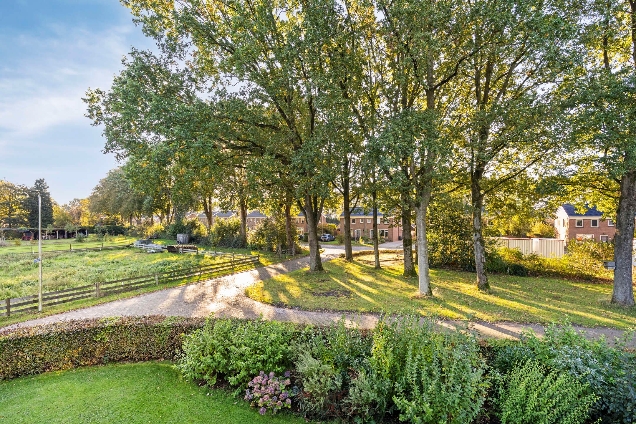 Photo 33 of Hovenplantsoen 1