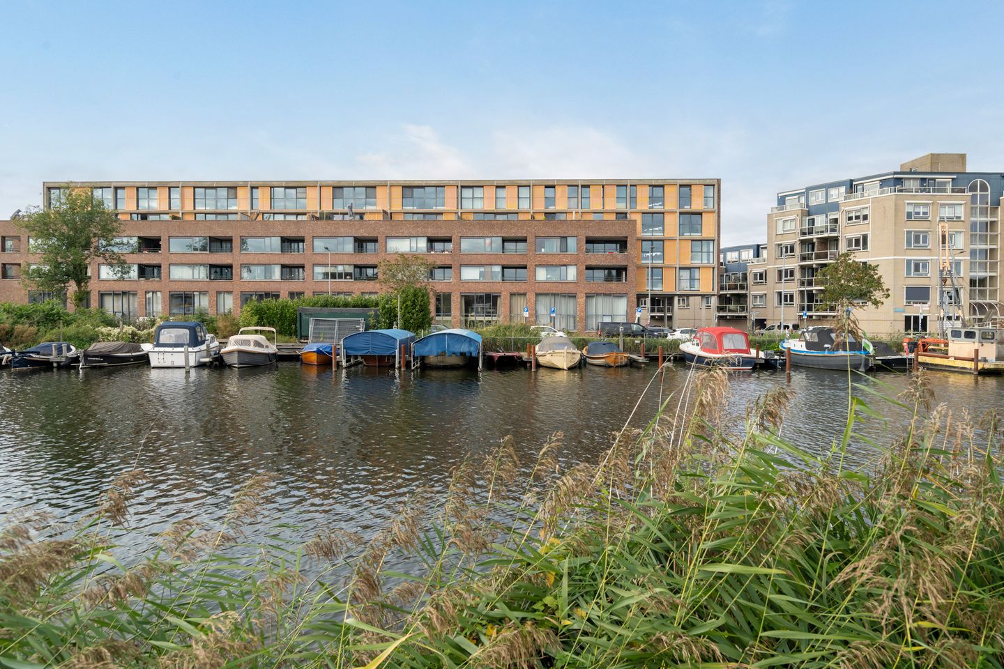 Photo 50 of Philips Willemstraat 119