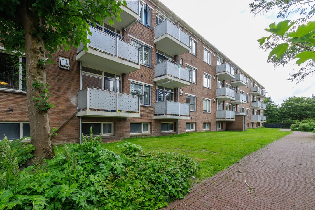 Photo 46 of Jacob van Ruysdaelstraat 43
