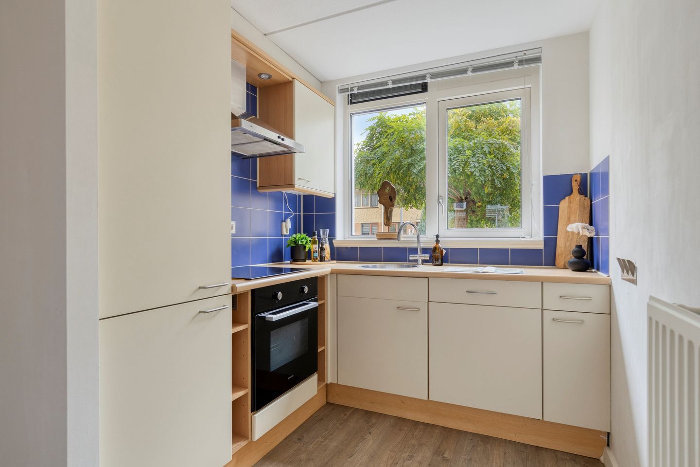 Photo 10 of Johannes Vermeerstraat 113