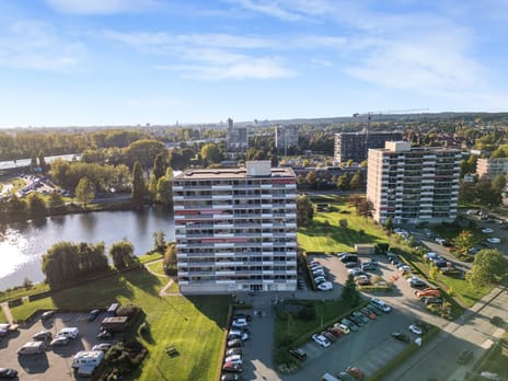 Aalscholversingel thumbnail