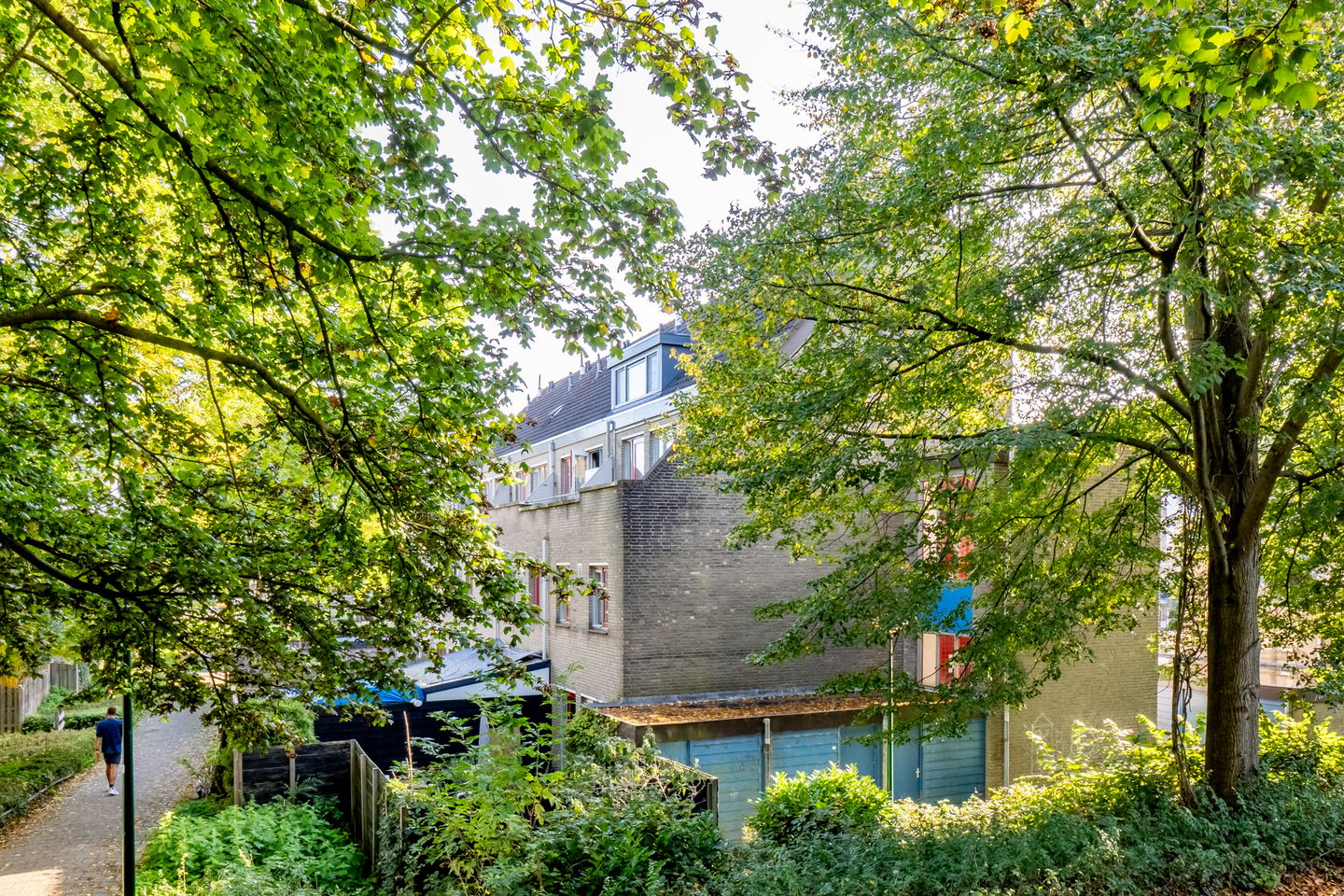Photo 35 of Antilopespoor 438