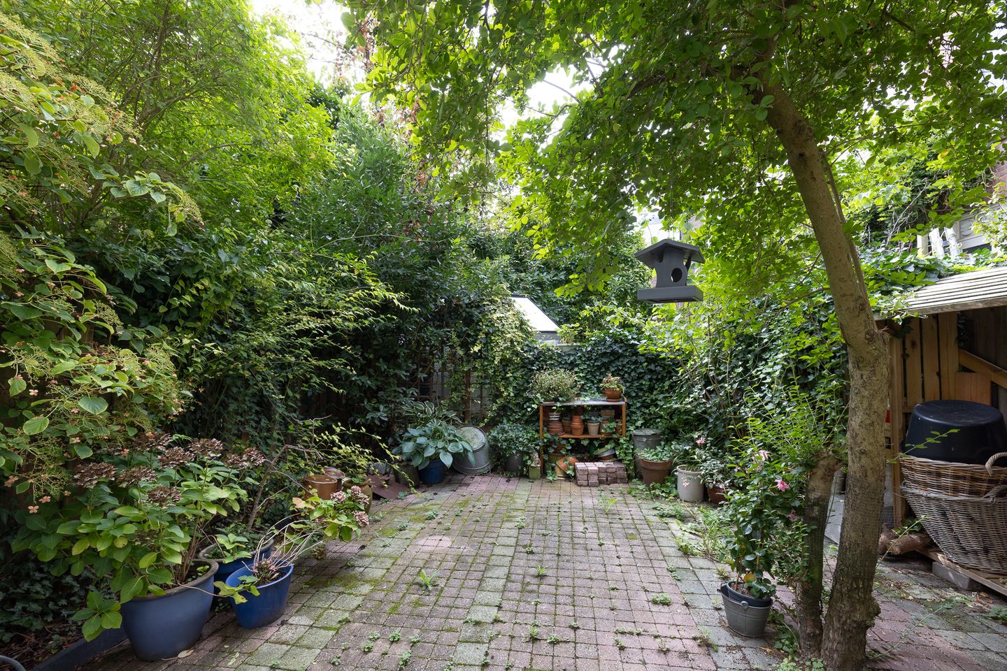 Foto 59 van Rodenrijselaan 5-B