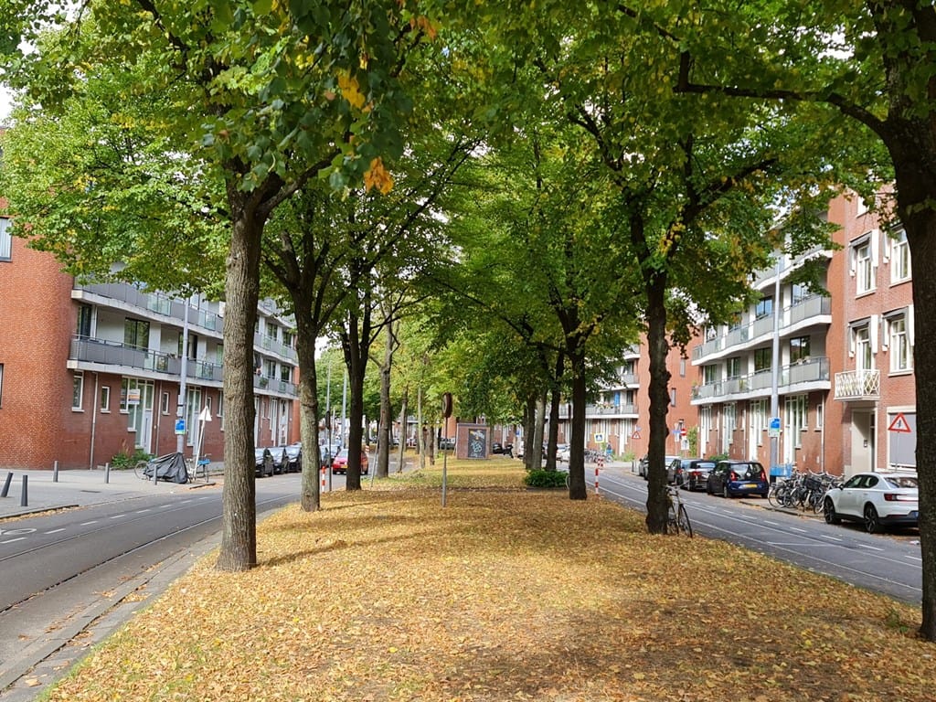 Foto 37 van Claes de Vrieselaan 160-B01