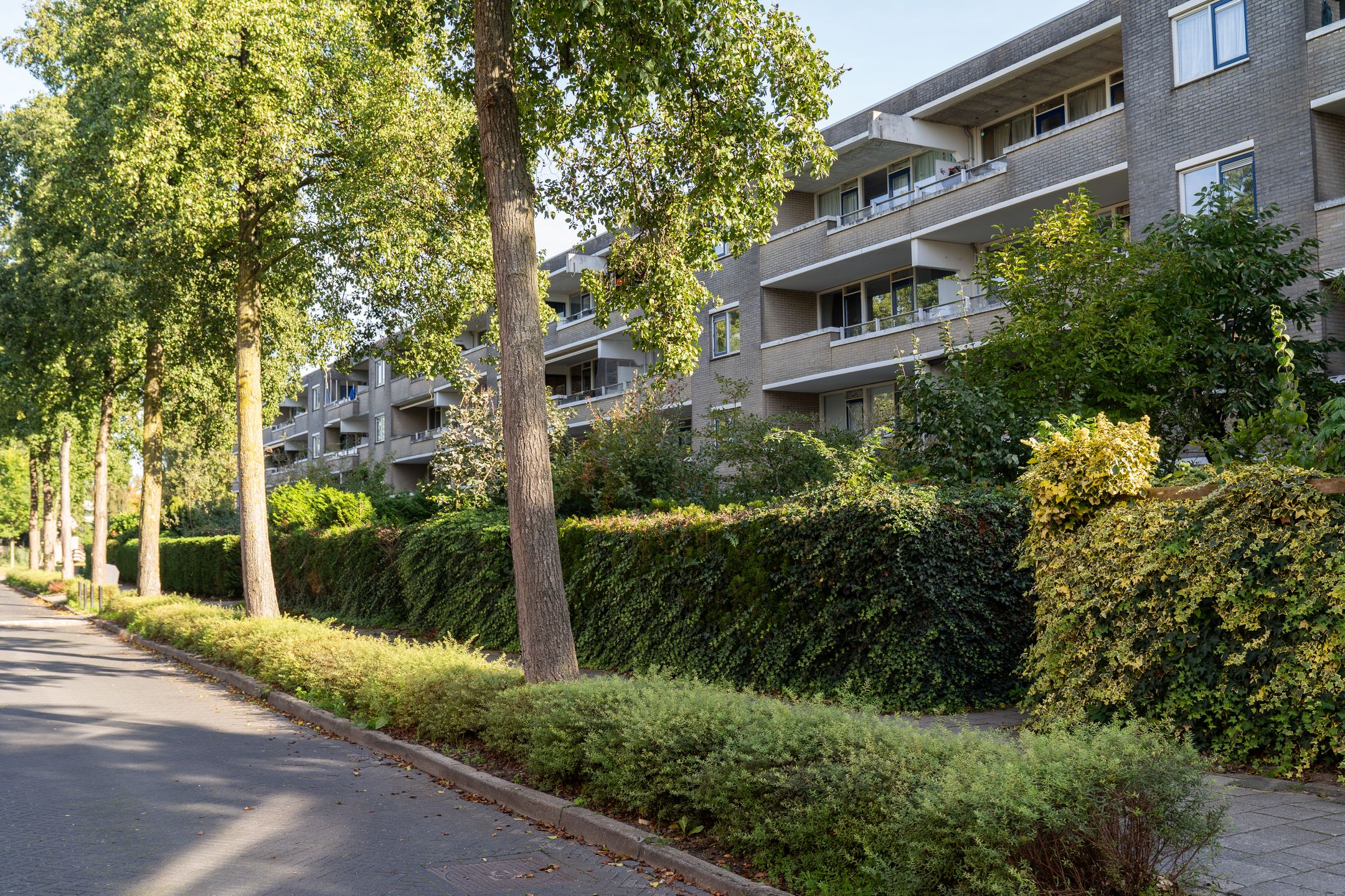 Photo 36 of Schaarsbergenstraat 46