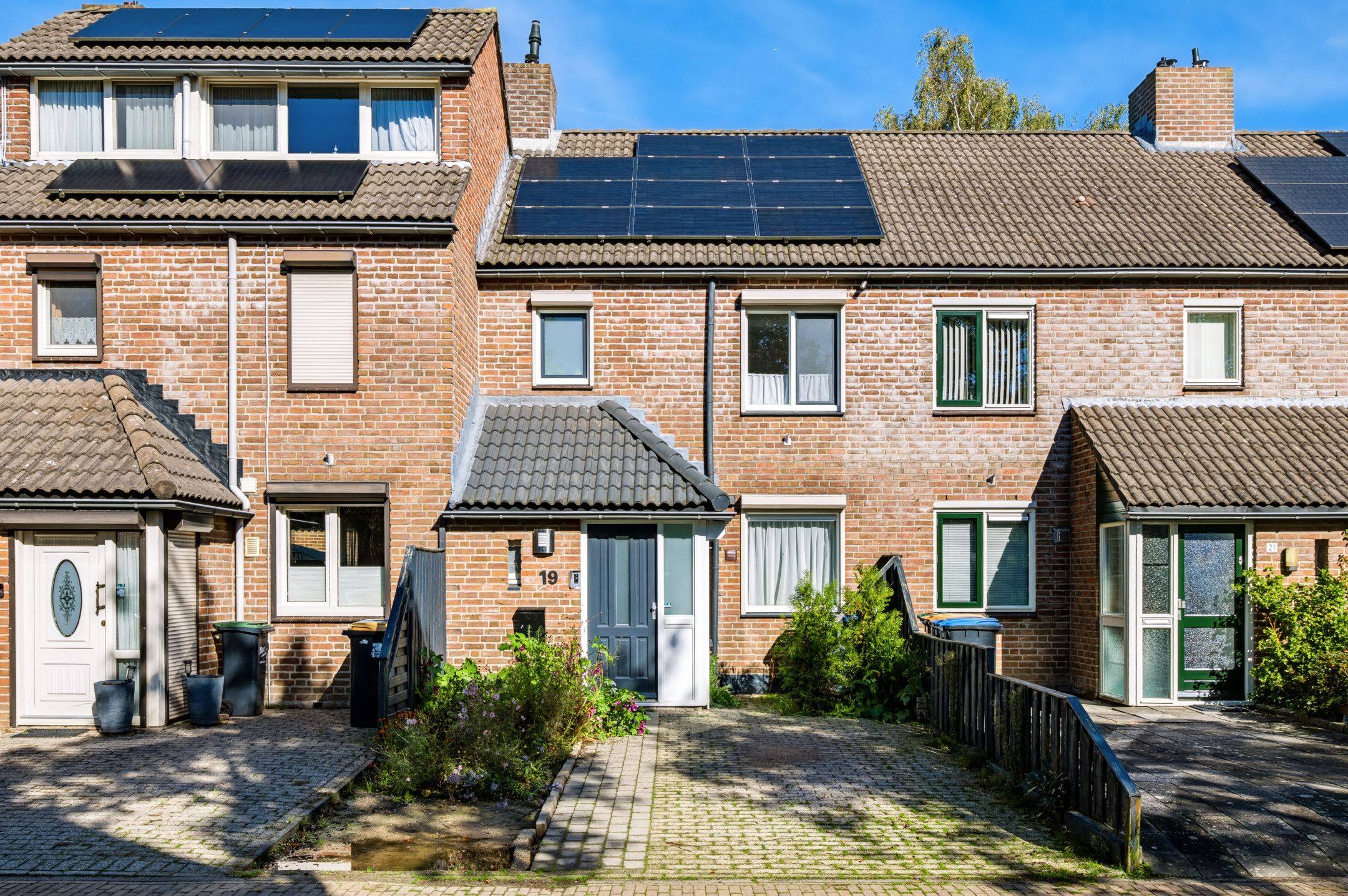 Ratelwacht 19