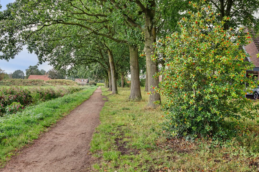 Photo 46 of Steenstraat 121