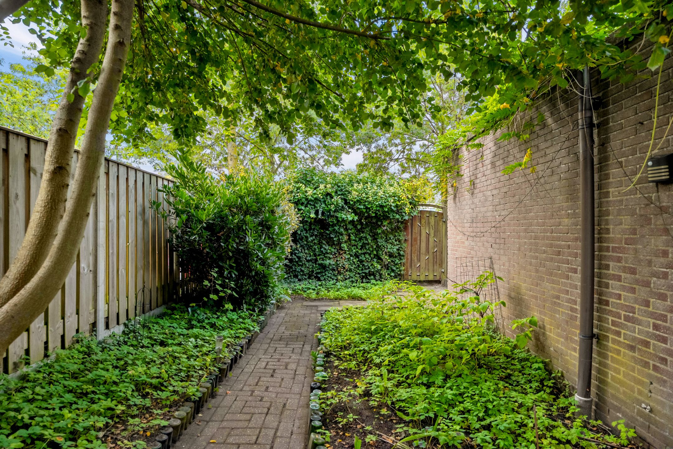 Foto 45 van Waalstraat 53