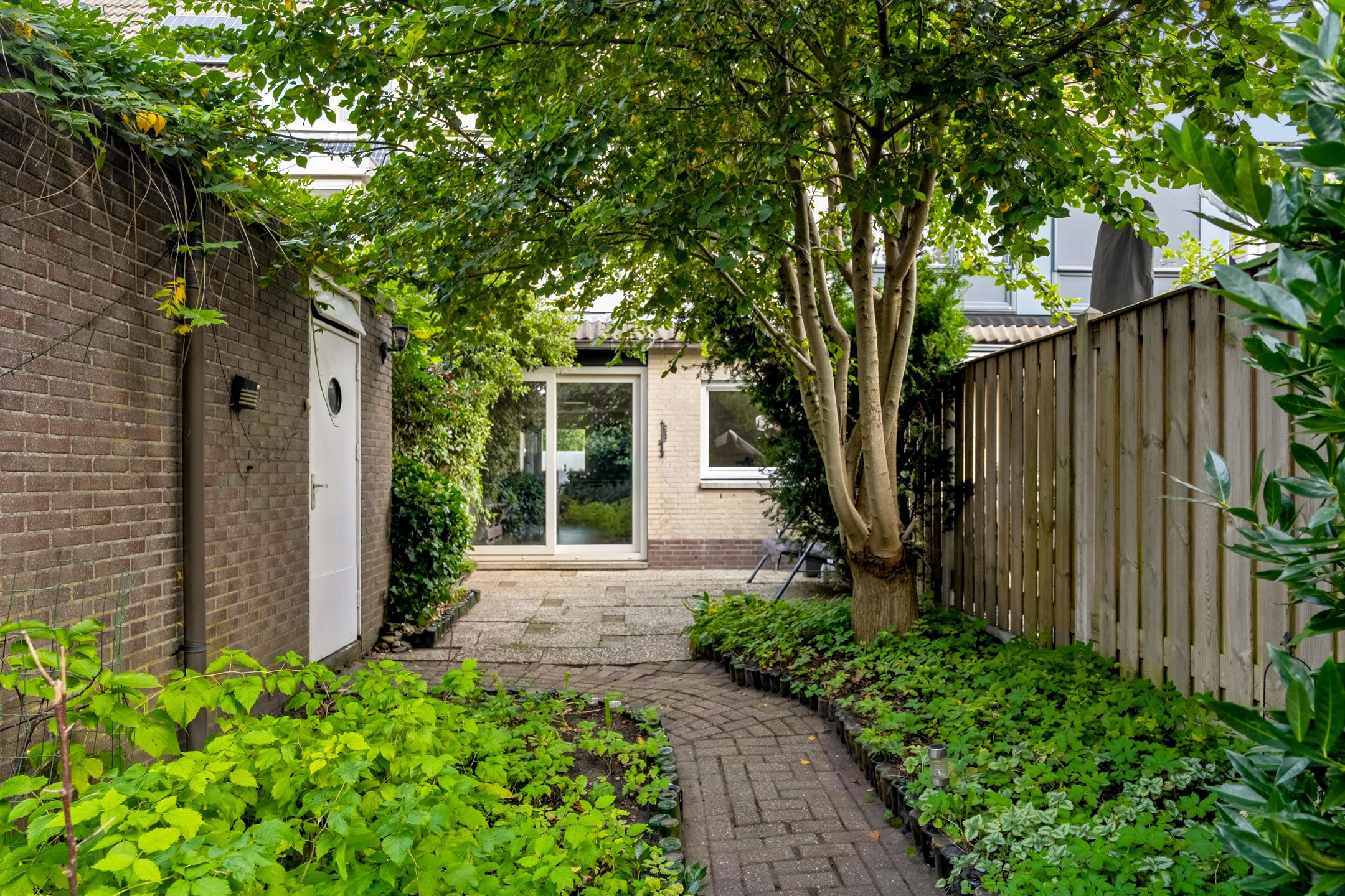 Foto 42 van Waalstraat 53
