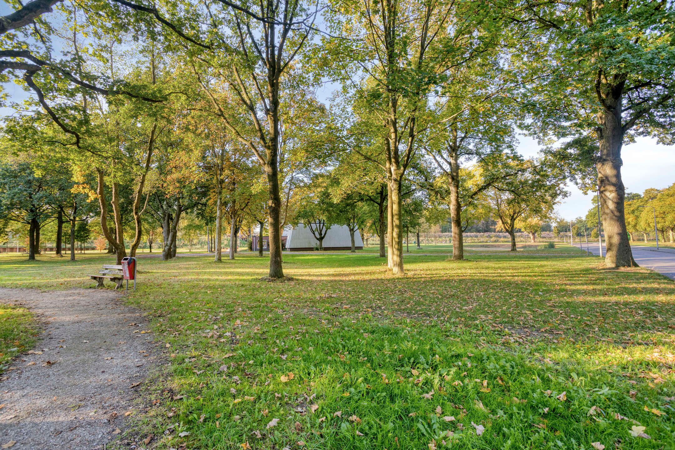 Photo 30 of Roelof van Schevenstraat 5