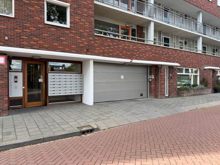 Photo 2 of Ortolaanstraat