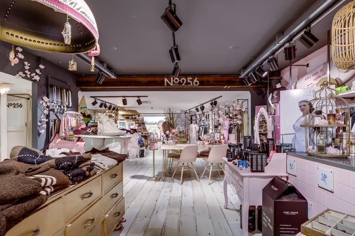 Dorpsstraat 256, Scherpenzeel (GE)