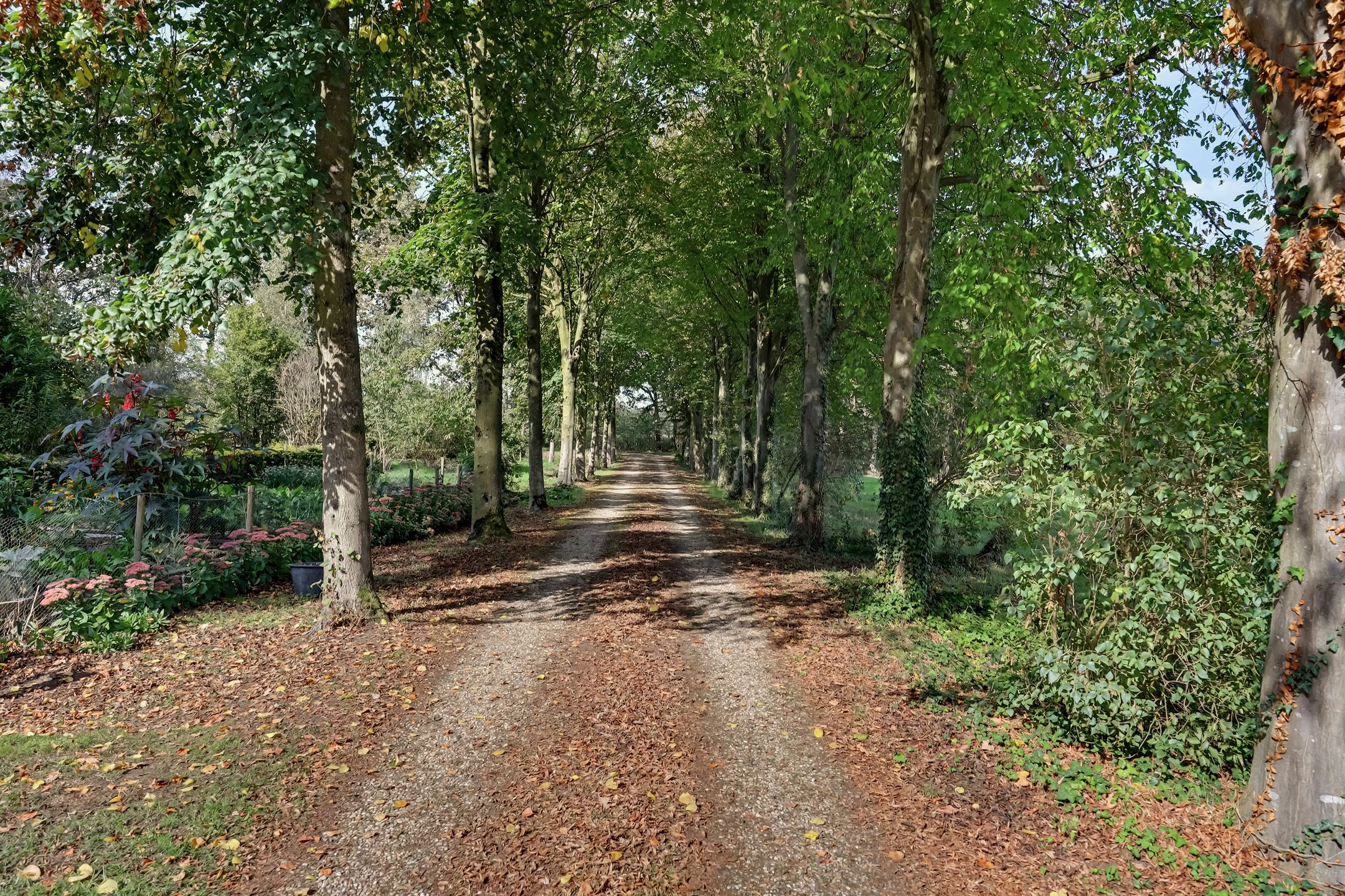 Photo 3 of Oude Bocholtsebaan 7