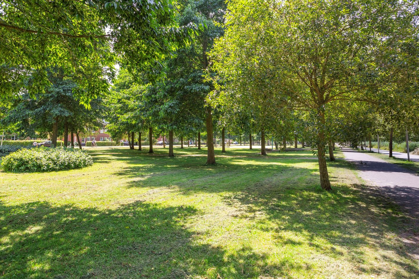 Foto 49 van Pleinesbos 3