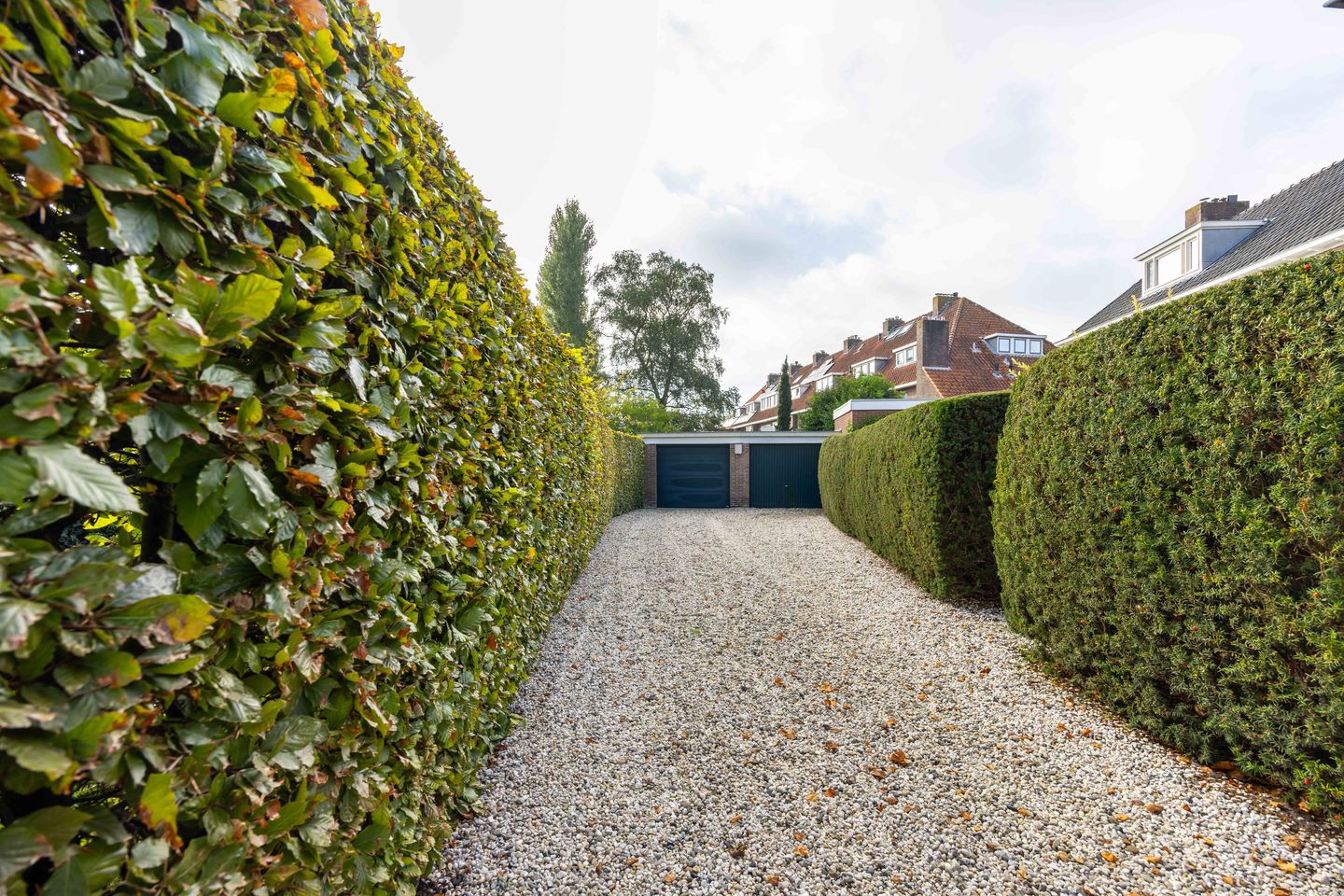 Photo 10 of Storm van 's-Gravesandeweg 62-C
