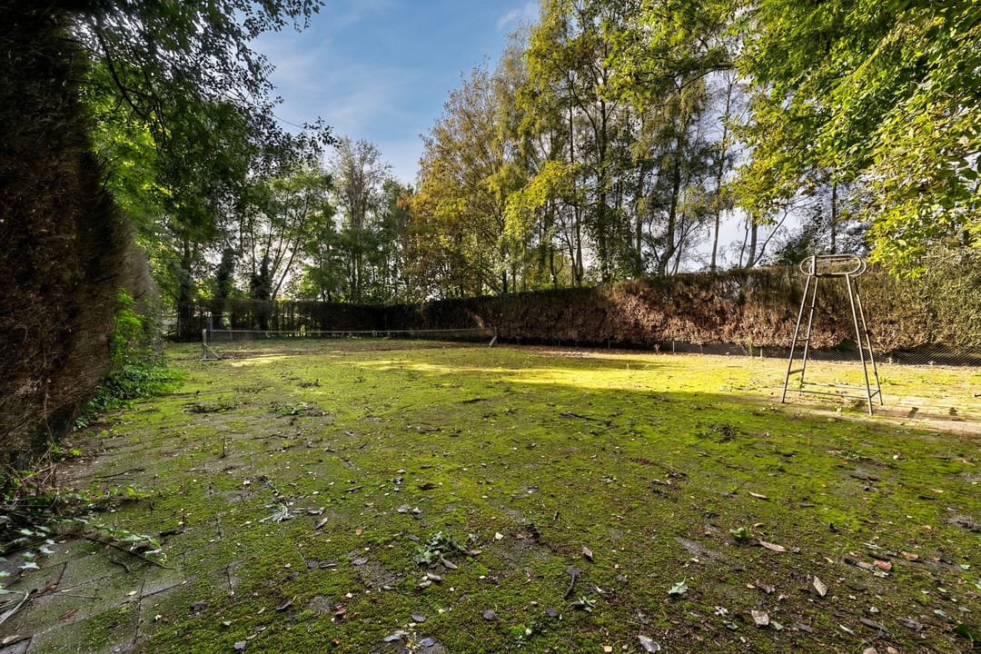 Foto 47 van Loosbroekseweg 5