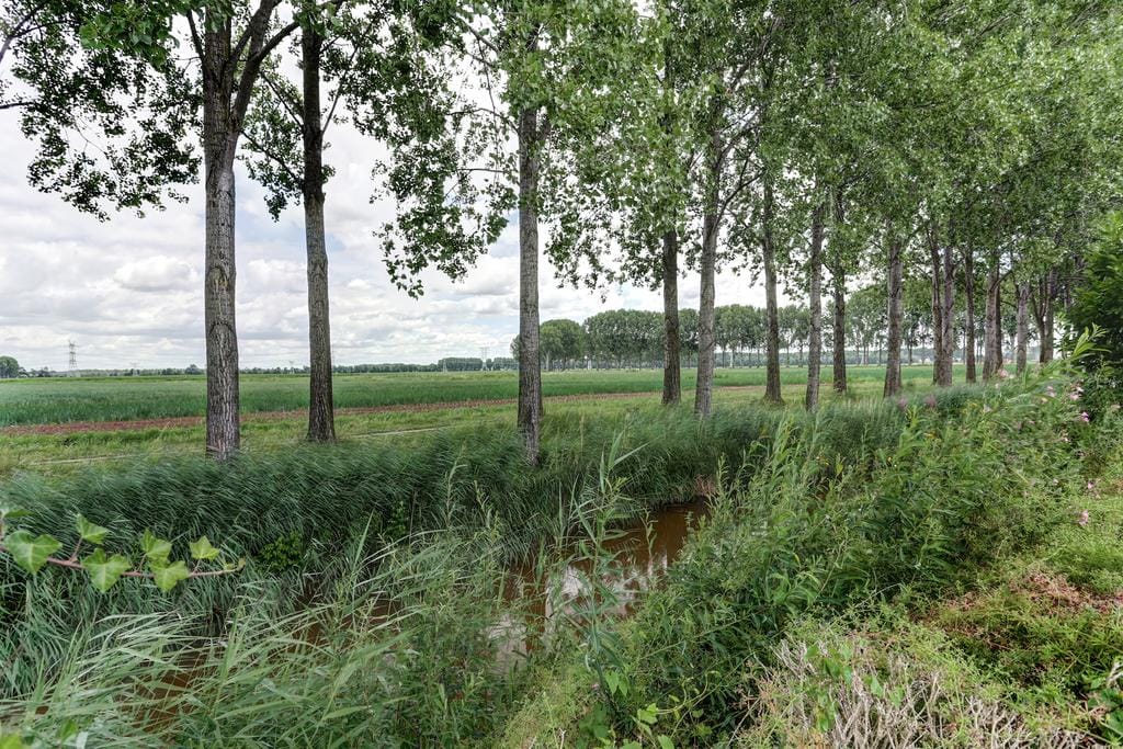 Photo 27 of Keizersdam 85
