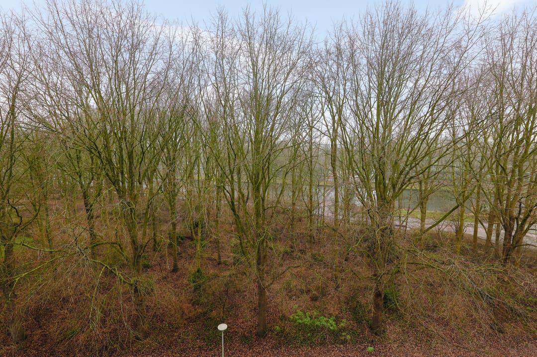 Photo 23 of Wittgensteinlaan 346