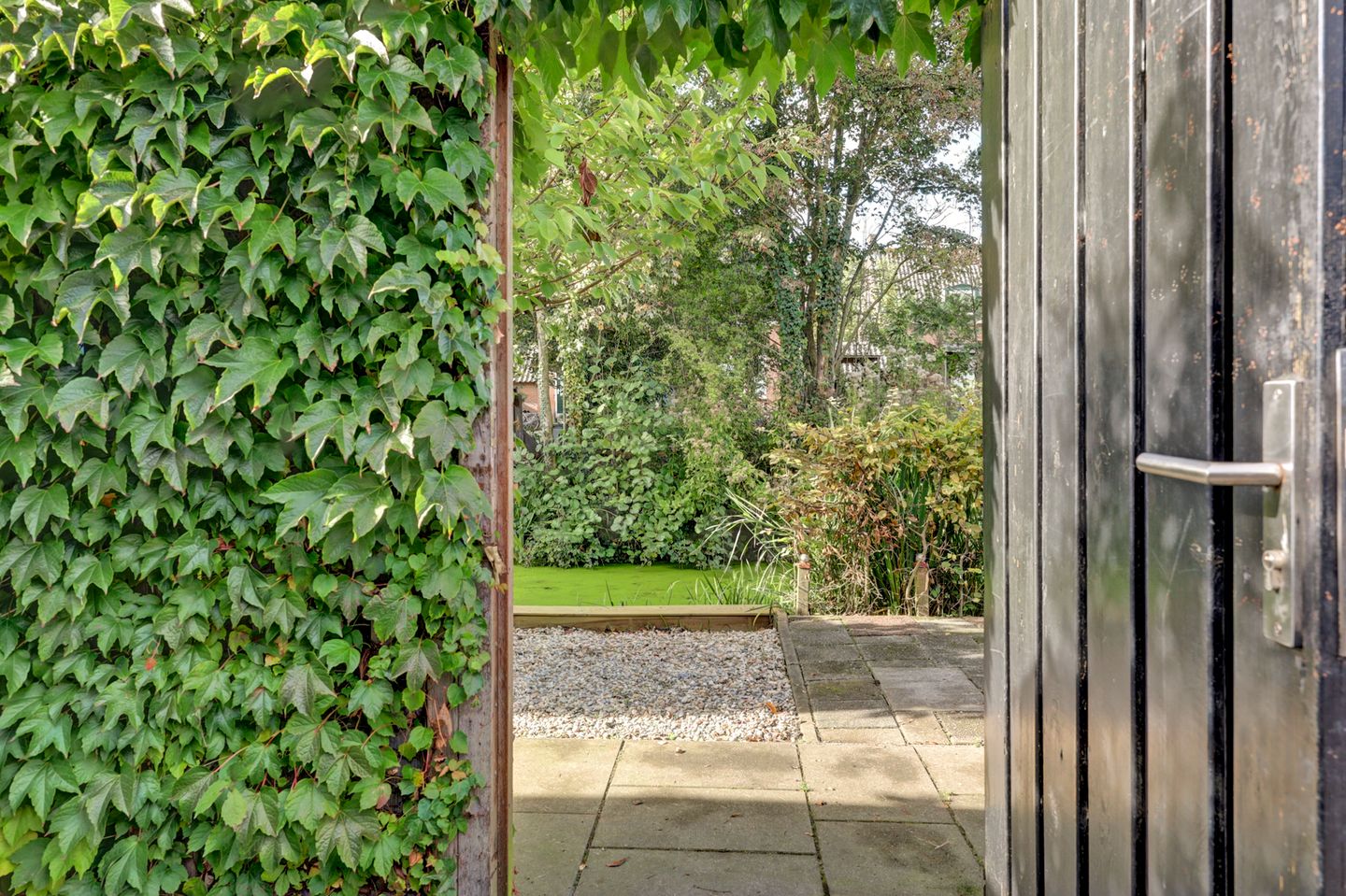 Foto 40 van Muilwijckstraat 55