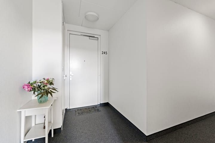 Foto 5 van Laan van Leidschenveen 245