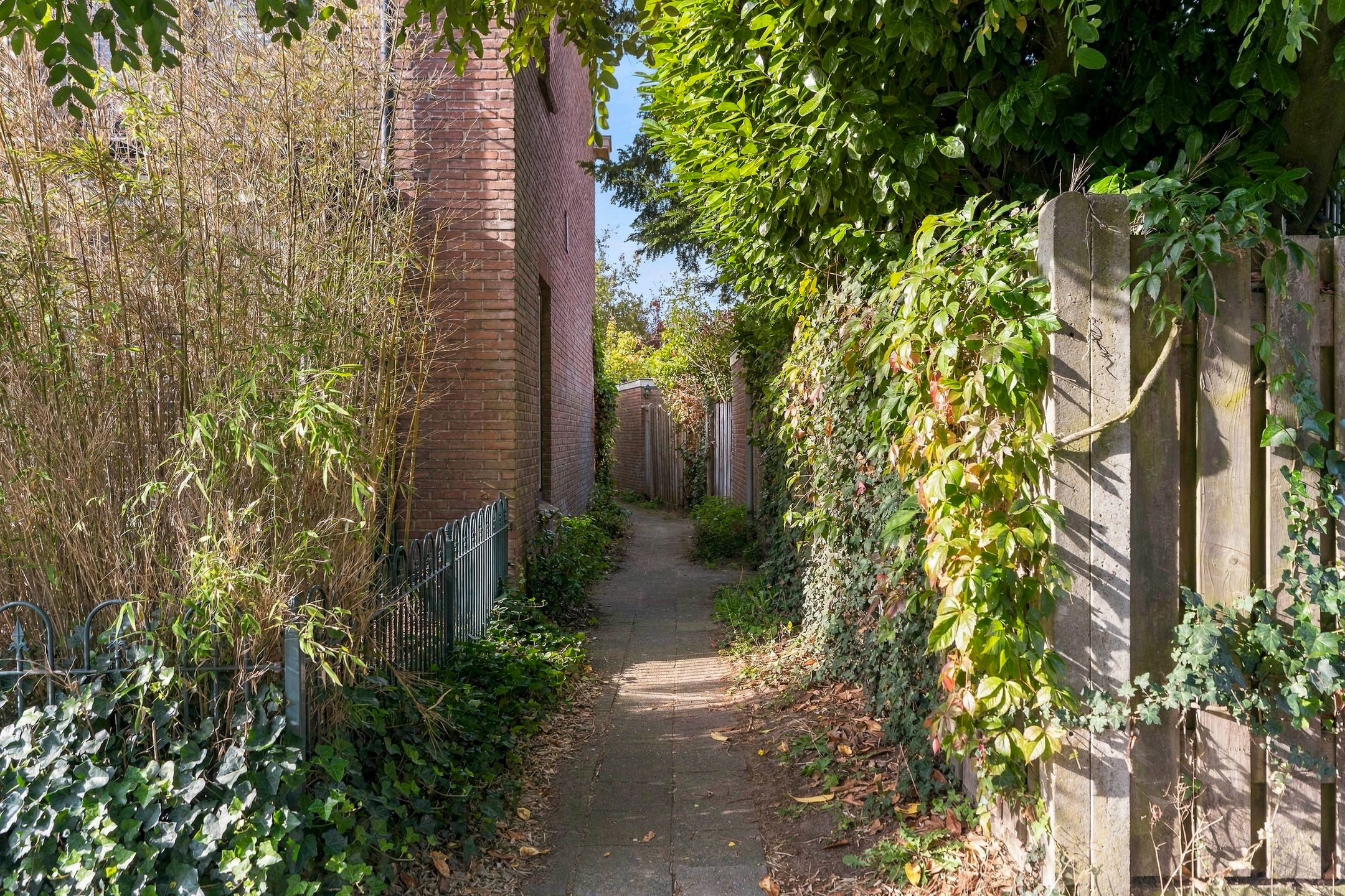 Foto 42 van Gemsstraat 15