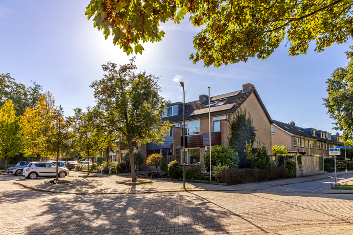 Foto 2 van Groot Veldsweer 1