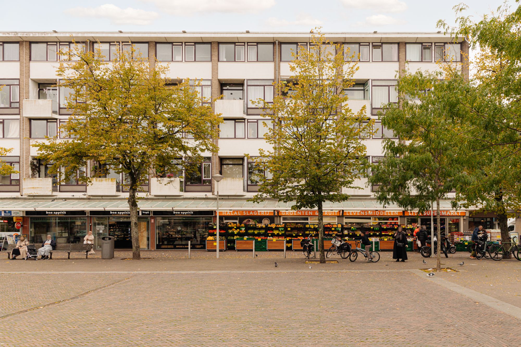 Sierplein 12