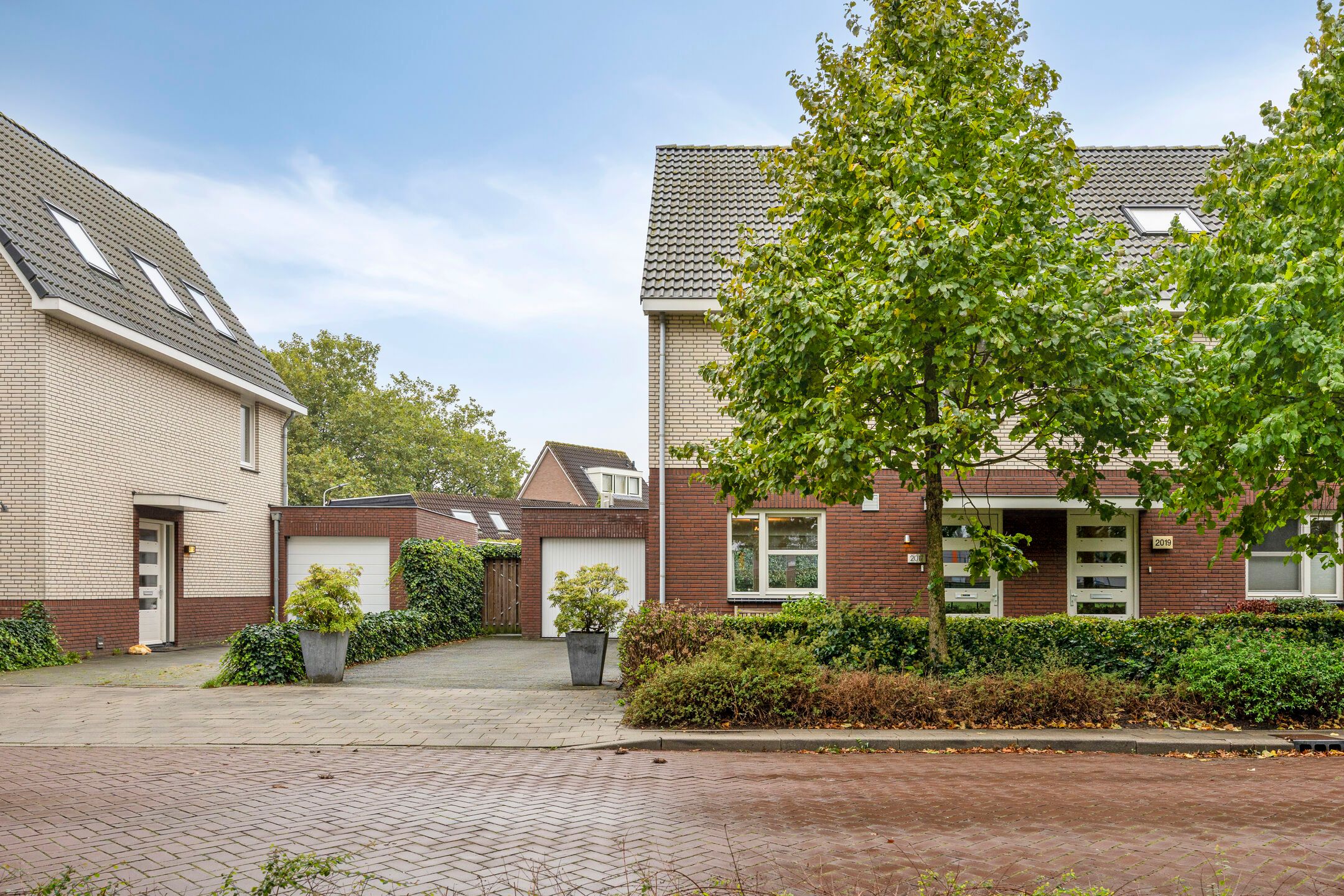 Foto 27 van de Meeuwse Acker 2017