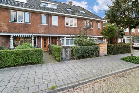 Nuhout van der Veenstraat thumbnail