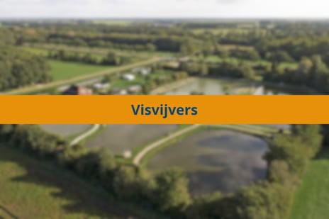 Bekijk foto's