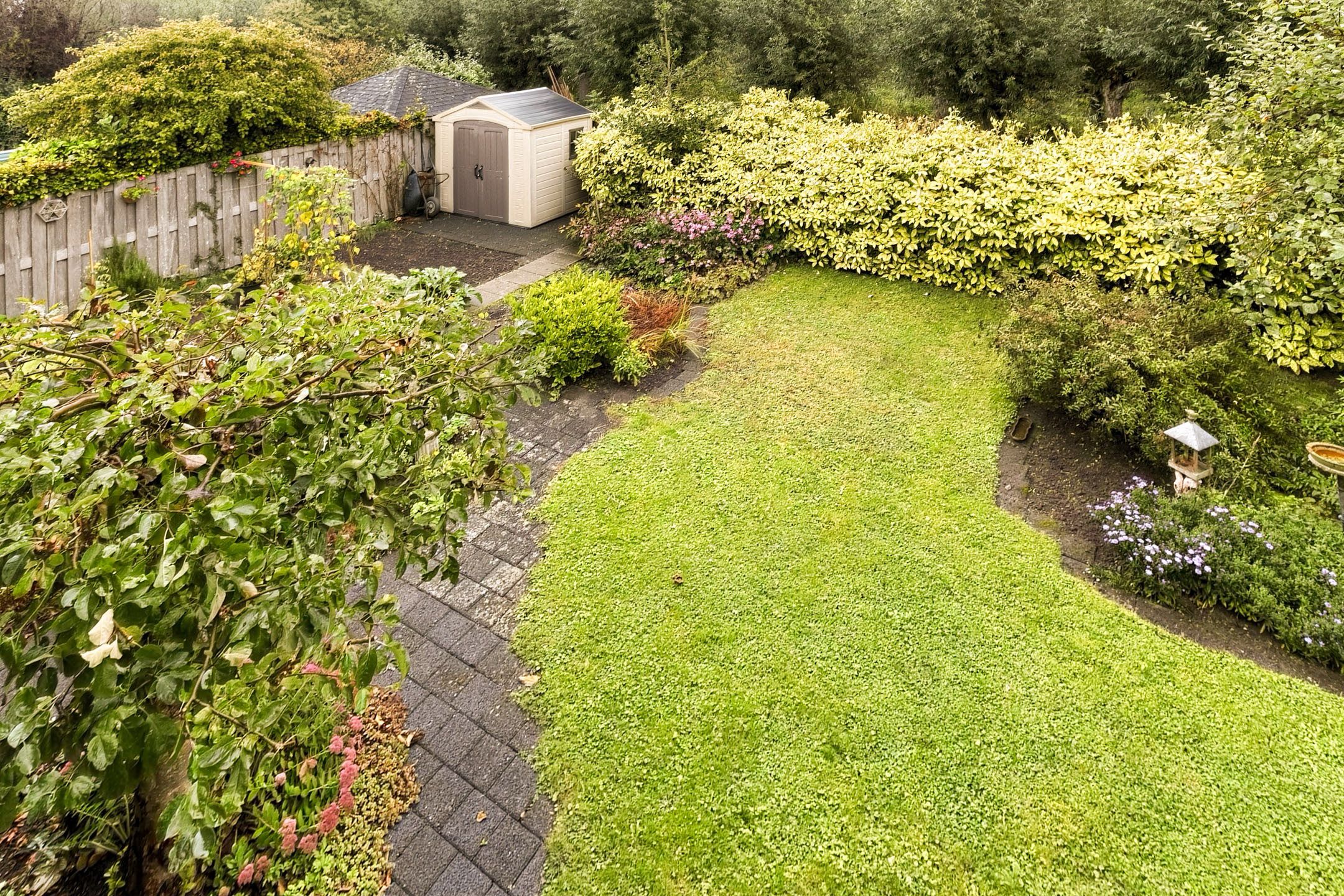 Foto 42 van Pijlkruid 9
