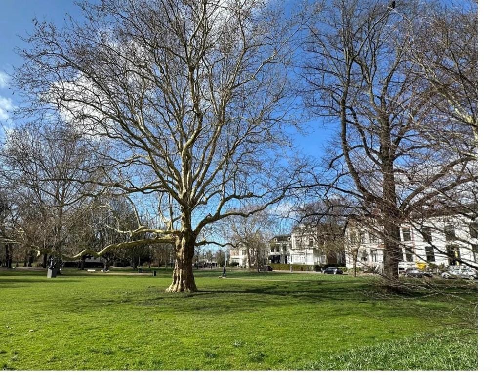 Photo 32 of Parklaan 37-B