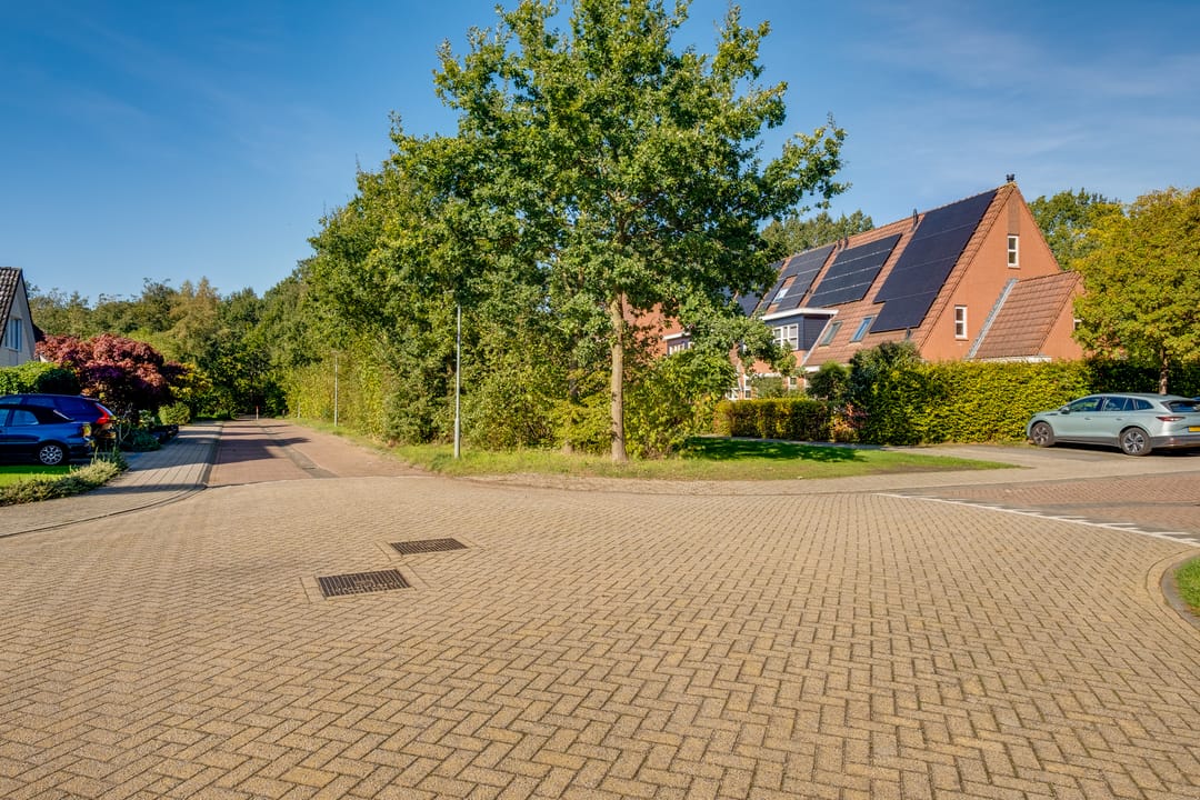 Photo 28 of Holtmaet 4