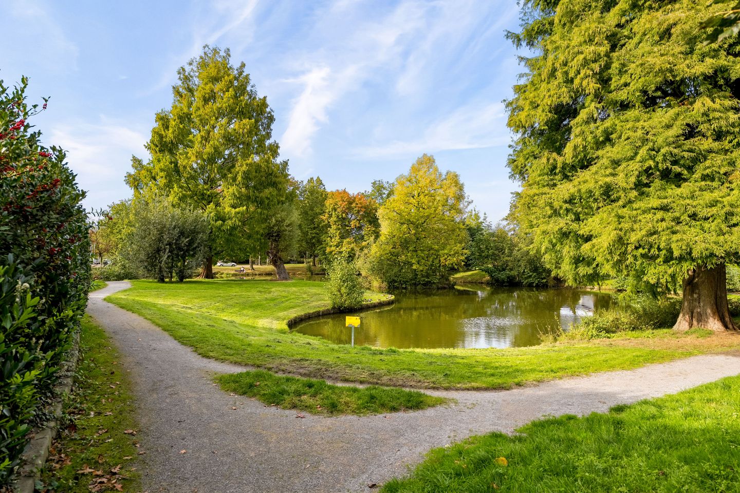 Photo 59 of Nijhuiskamp 41