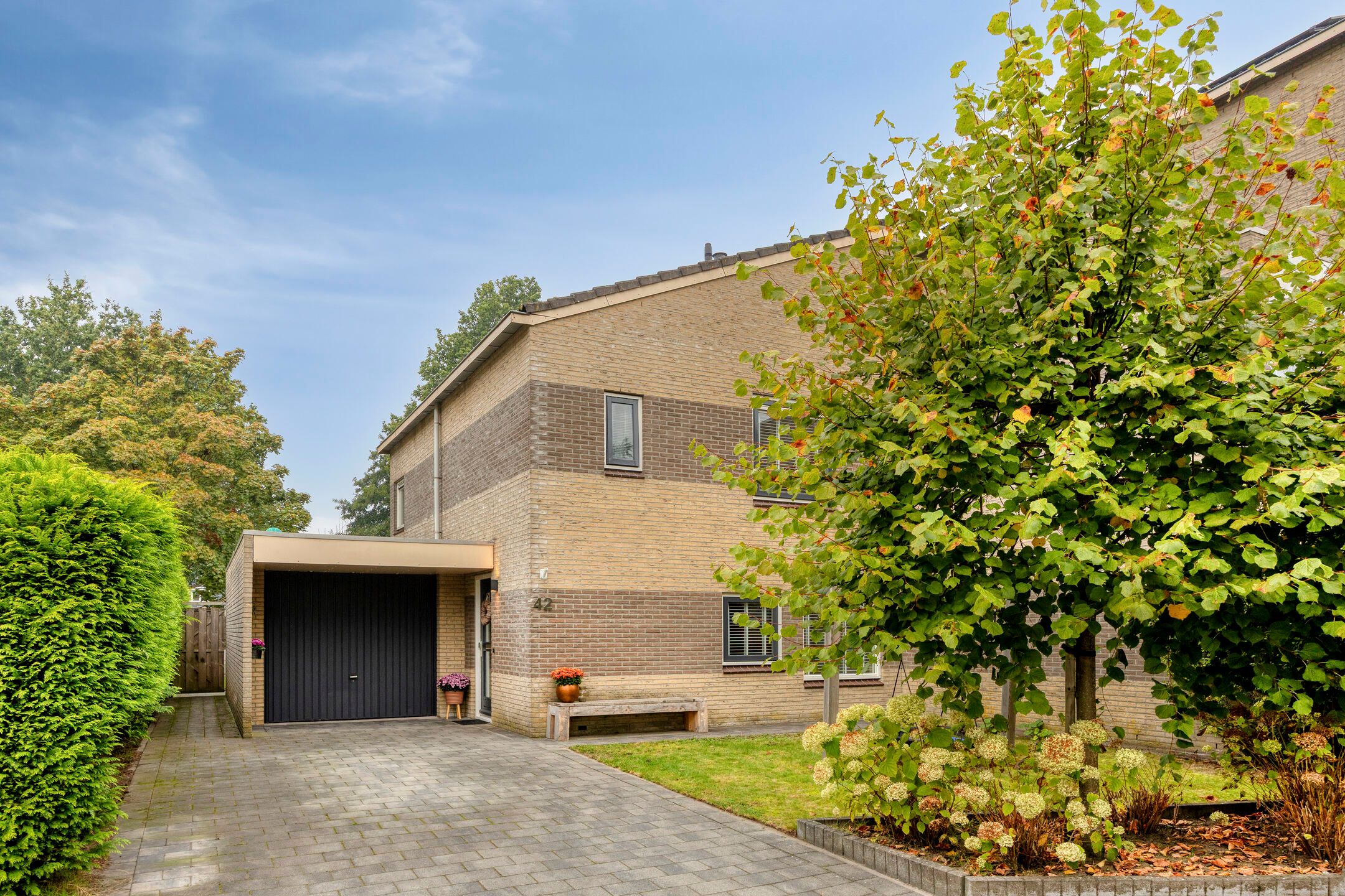Grauwe Gans 42 