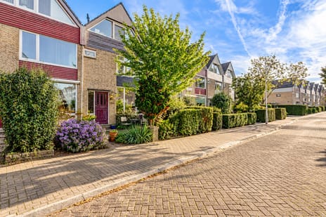 Brederodestraat thumbnail
