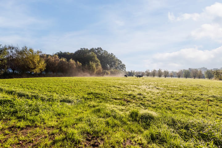 Foto 4 van Rhodensteijnselaan 16