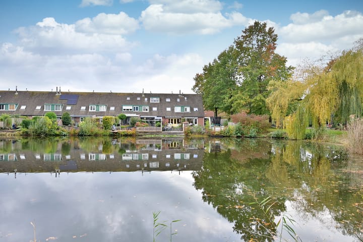 Foto 2 van Krekel 1