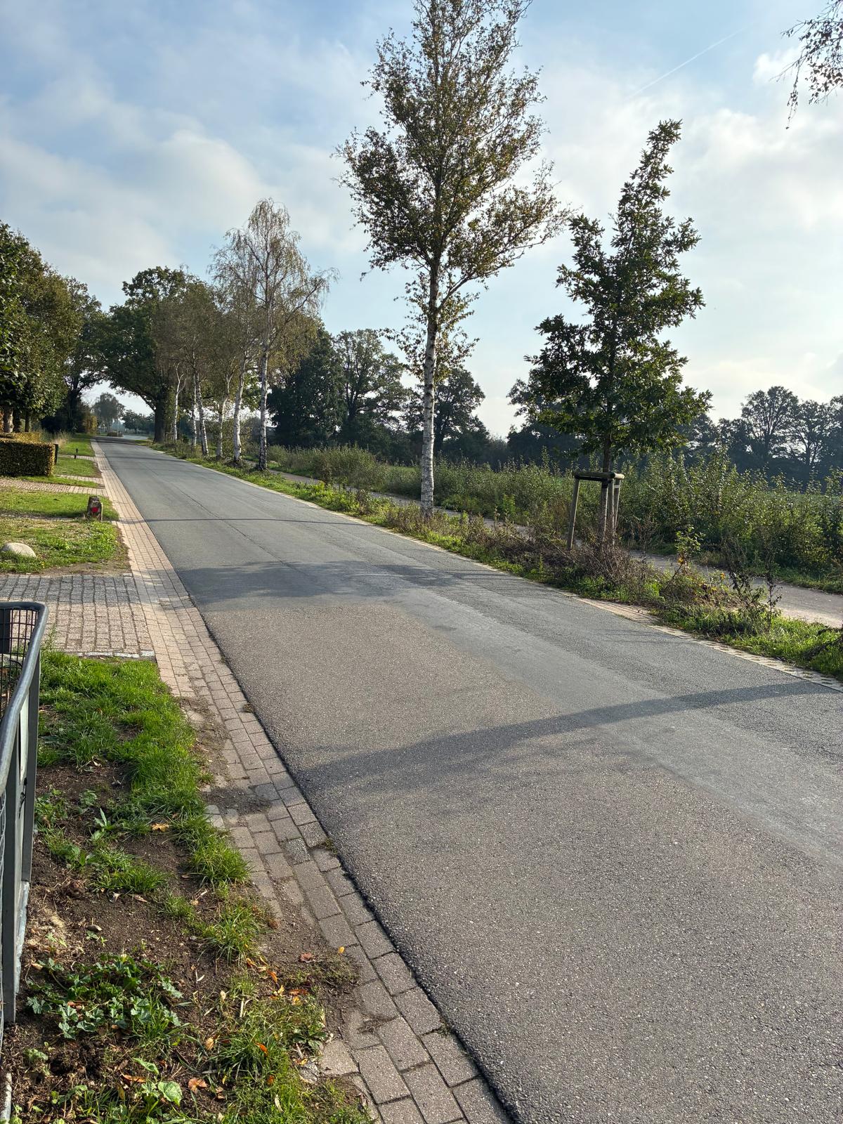 Witveldweg - Grubbenvorst - Afbeelding 5