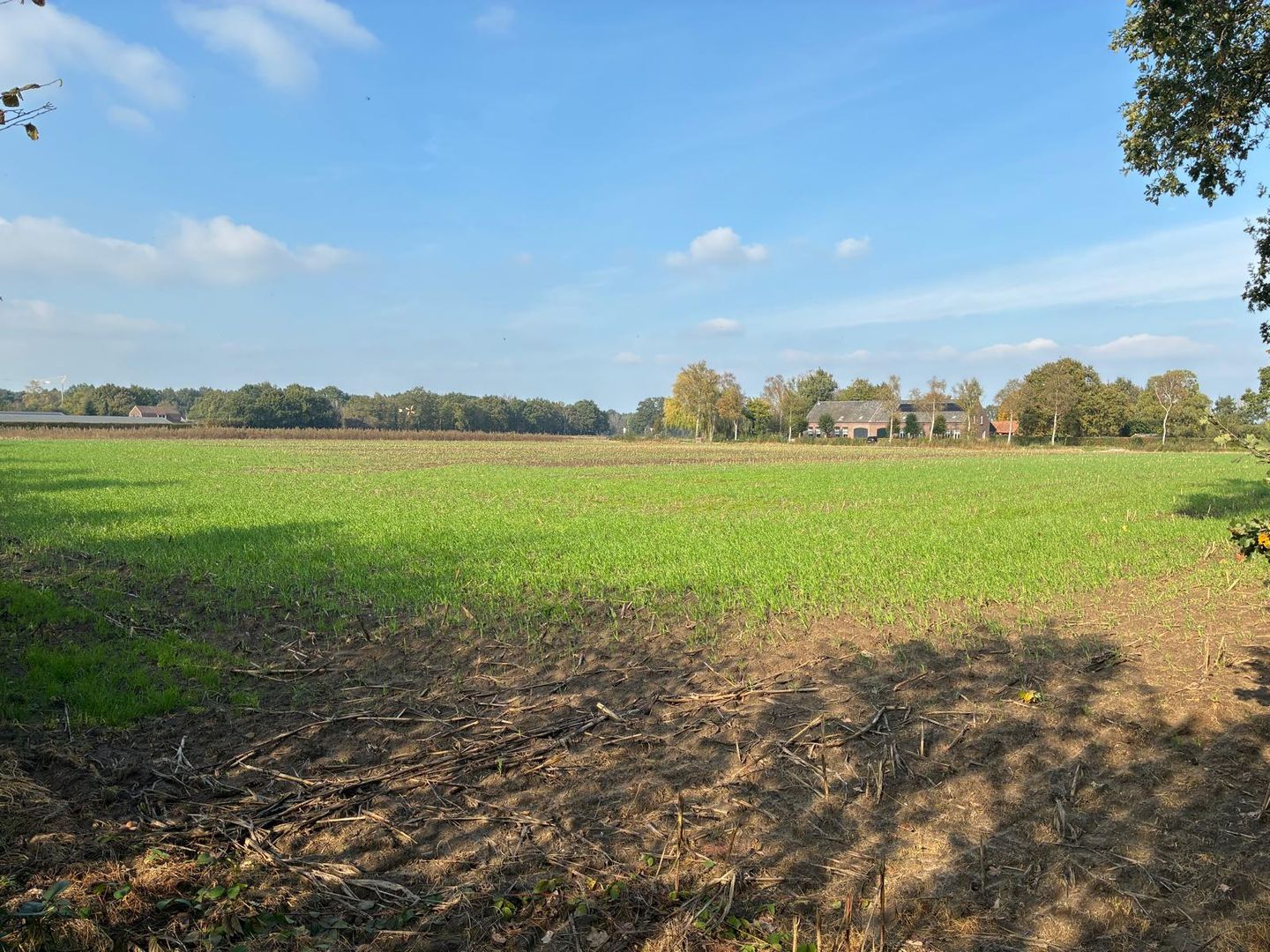 Witveldweg - Grubbenvorst - Afbeelding 4