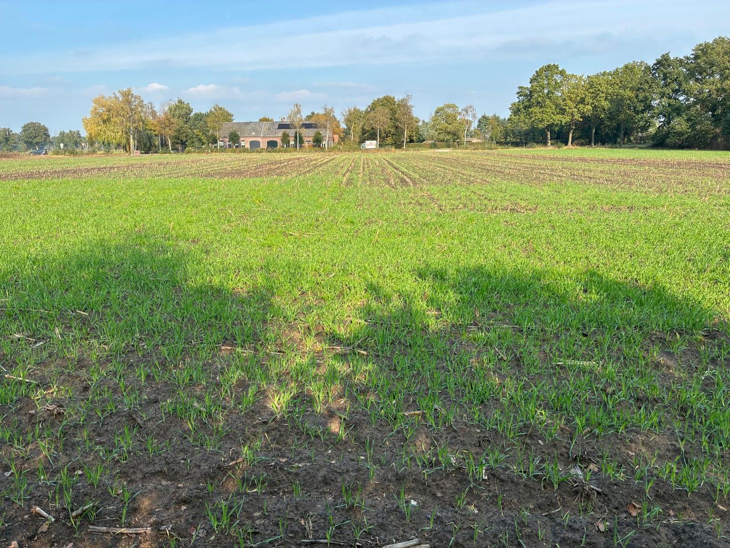 Witveldweg - Grubbenvorst - Afbeelding 6