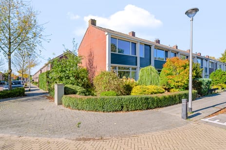 Brederodestraat thumbnail