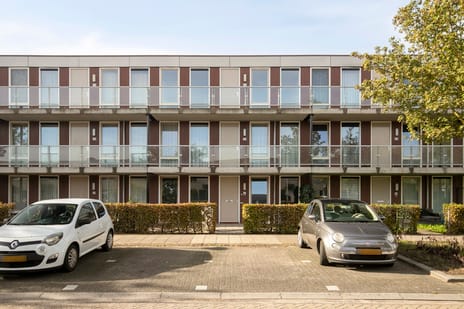 Grünewaldstraat thumbnail