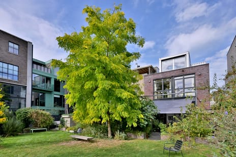 Stokvisstraat thumbnail