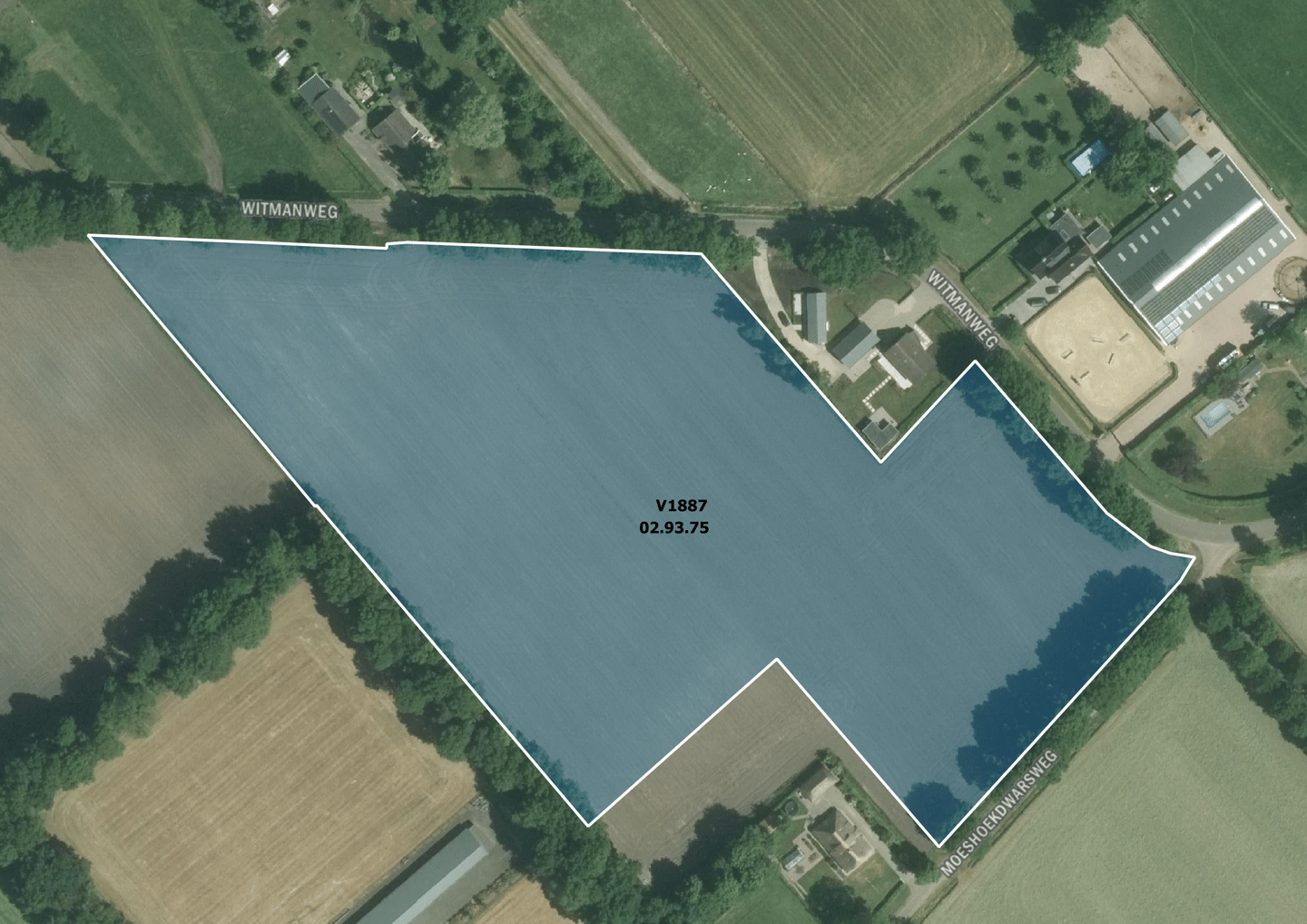 Witmanweg - Slagharen - Afbeelding 4