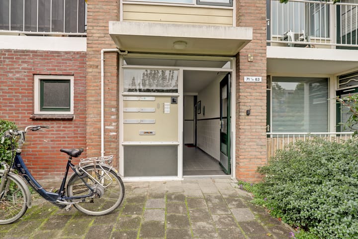 Foto 3 van Gerard Doustraat 73